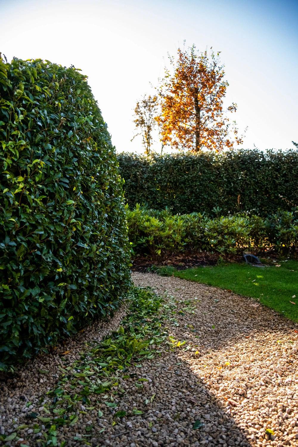 Algemene tuinwerken aan het uitvoeren